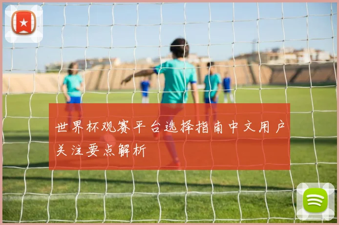 世界杯观赛平台选择指南中文用户关注要点解析