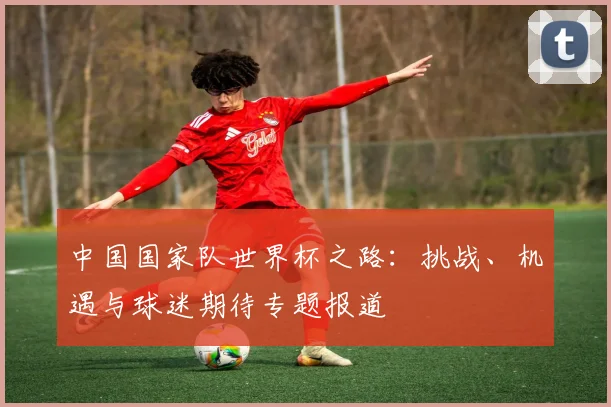 中国国家队世界杯之路:挑战、机遇与球迷期待专题报道
