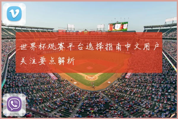 世界杯观赛平台选择指南中文用户关注要点解析