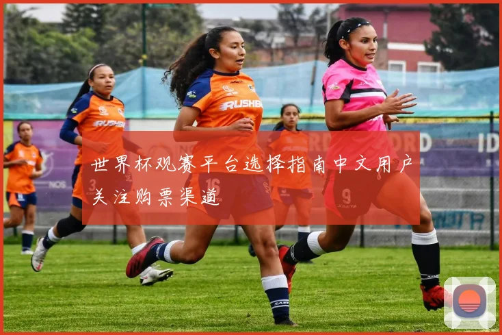 世界杯观赛平台选择指南中文用户关注购票渠道