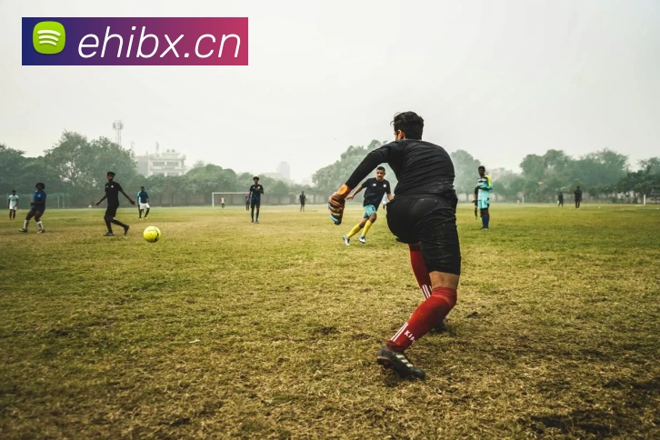 俄罗斯世界杯中国官网平台生态图